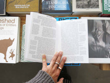 Load image into Gallery viewer, Bruno Zhu: Fiction Non Fiction (Volume 1)