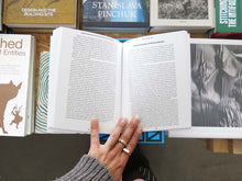 Load image into Gallery viewer, Bruno Zhu: Fiction Non Fiction (Volume 1)