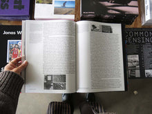 Load image into Gallery viewer, Wang Yuyang: Chaosmosis