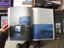 Load image into Gallery viewer, Wang Yuyang: Chaosmosis