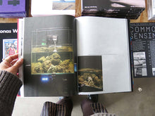 Load image into Gallery viewer, Wang Yuyang: Chaosmosis