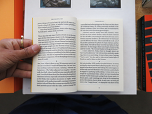 Load image into Gallery viewer, Vanessa Roveto – The Valley (a void)