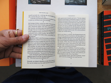 Load image into Gallery viewer, Vanessa Roveto – The Valley (a void)