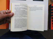 Load image into Gallery viewer, Vanessa Roveto – The Valley (a void)