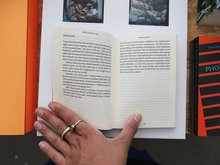 Load image into Gallery viewer, Vanessa Roveto – The Valley (a void)