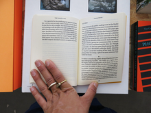 Load image into Gallery viewer, Vanessa Roveto – The Valley (a void)