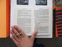 Load image into Gallery viewer, Vanessa Roveto – The Valley (a void)