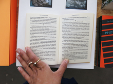 Load image into Gallery viewer, Vanessa Roveto – The Valley (a void)