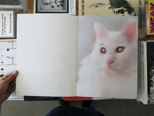 Load image into Gallery viewer, Joseph Desler Costa – Say Yes