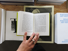 Load image into Gallery viewer, Christine Smallwood – La Captive