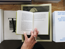 Load image into Gallery viewer, Christine Smallwood – La Captive