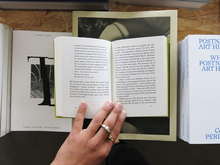 Load image into Gallery viewer, Christine Smallwood – La Captive