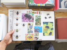 Load image into Gallery viewer, Lous Martens – Animal Books for Jaap, Zeno, Anna, Julian & Luca