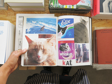 Load image into Gallery viewer, Lous Martens – Animal Books for Jaap, Zeno, Anna, Julian & Luca