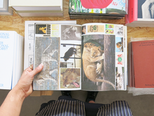 Load image into Gallery viewer, Lous Martens – Animal Books for Jaap, Zeno, Anna, Julian & Luca