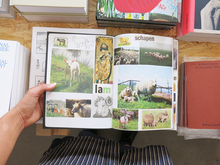 Load image into Gallery viewer, Lous Martens – Animal Books for Jaap, Zeno, Anna, Julian & Luca