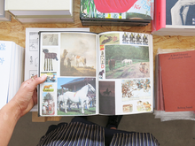 Load image into Gallery viewer, Lous Martens – Animal Books for Jaap, Zeno, Anna, Julian & Luca