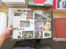 Load image into Gallery viewer, Lous Martens – Animal Books for Jaap, Zeno, Anna, Julian & Luca
