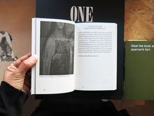 Load image into Gallery viewer, Of Dogs and Daughters: Between Surrogate and Self