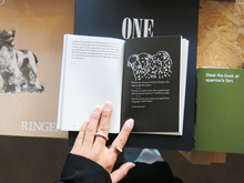 Load image into Gallery viewer, Of Dogs and Daughters: Between Surrogate and Self