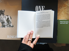 Load image into Gallery viewer, Of Dogs and Daughters: Between Surrogate and Self