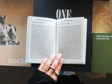 Load image into Gallery viewer, Of Dogs and Daughters: Between Surrogate and Self