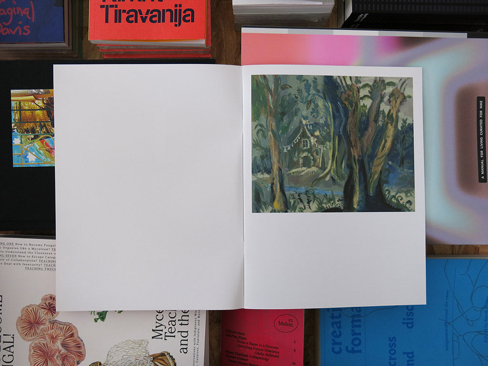 Karen Kilimnik – X Paintings – Perimeter Books