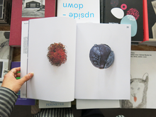 Load image into Gallery viewer, ARCH+ Kunst: Karin Sander