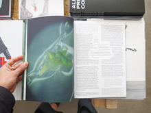 Load image into Gallery viewer, Plant Magic Issue 2: Weeds