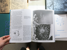 Load image into Gallery viewer, MacGuffin 14: The Wall