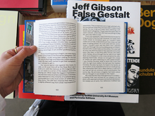 Load image into Gallery viewer, David Diehl – ICONS: A Directory of Canonisations around the Turn of the Millennium