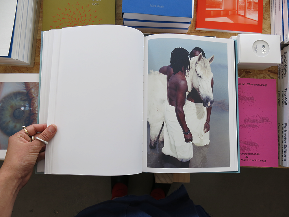 Denisse Ariana Pérez – AGUA – Perimeter Books