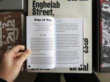 Load image into Gallery viewer, Ian Lynam – The Failed Painter, Or: Unchained by Material Anxiety