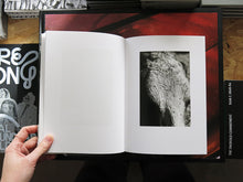 Load image into Gallery viewer, Yana Wernicke – Companions