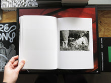 Load image into Gallery viewer, Yana Wernicke – Companions