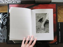 Load image into Gallery viewer, Yana Wernicke – Companions