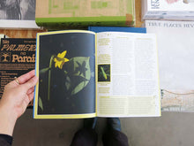 Load image into Gallery viewer, PRE-ORDER: Pleasant Place 7: Daffodils (Narcissus)