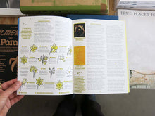 Load image into Gallery viewer, PRE-ORDER: Pleasant Place 7: Daffodils (Narcissus)