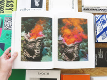 Load image into Gallery viewer, Taiyo Onorato & Nico Krebs – Water Column