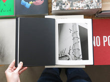 Load image into Gallery viewer, Harry Culy – Mirror City