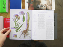 Load image into Gallery viewer, Pleasant Place 4: Artichoke