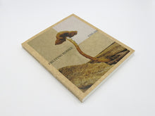 Load image into Gallery viewer, Ying Ang – Fruiting Bodies