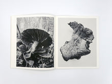 Load image into Gallery viewer, Ying Ang – Fruiting Bodies