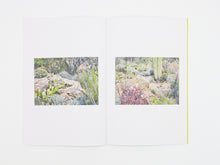 Load image into Gallery viewer, Félicia Atkinson – Ambient Park