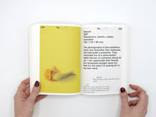 Load image into Gallery viewer, An unreliable guidebook to jewellery by Lisa Walker