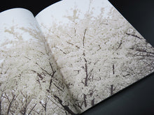 Load image into Gallery viewer, SPECIAL EDITION: Bec Parsons – Coney Island