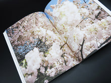 Load image into Gallery viewer, SPECIAL EDITION: Bec Parsons – Coney Island