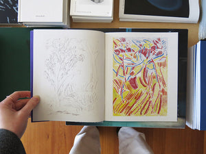 Angus Gardner – Royal Park Drawings