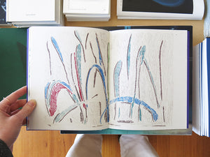 Angus Gardner – Royal Park Drawings