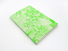 Load image into Gallery viewer, SPECIAL EDITION: Luke Le – What are you looking for?